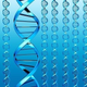 Illustration for article titled Is evolution pushing our DNA towards diabetes?